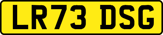 LR73DSG