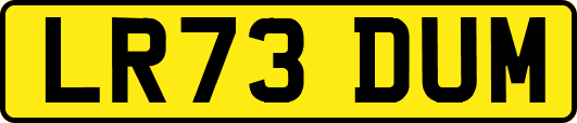 LR73DUM