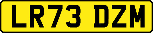 LR73DZM