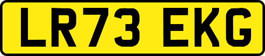 LR73EKG