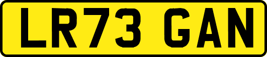LR73GAN