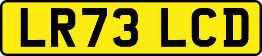 LR73LCD