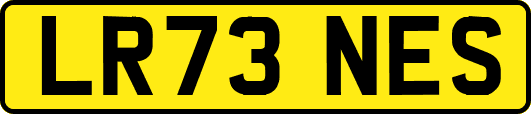 LR73NES