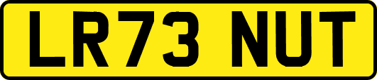 LR73NUT