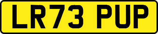 LR73PUP