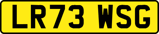LR73WSG