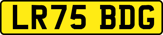 LR75BDG
