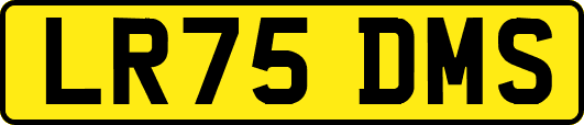 LR75DMS