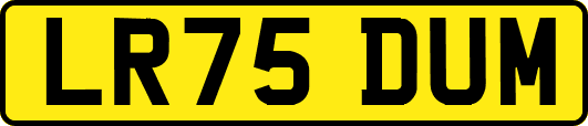 LR75DUM