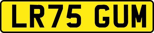 LR75GUM