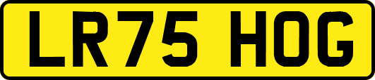 LR75HOG