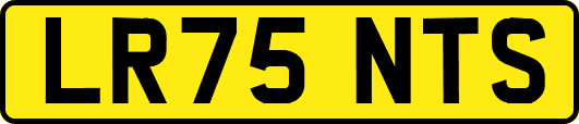 LR75NTS