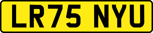 LR75NYU