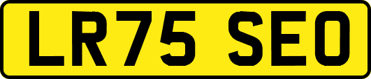 LR75SEO
