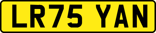 LR75YAN