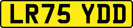 LR75YDD