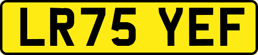 LR75YEF
