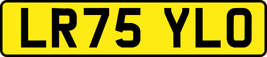 LR75YLO