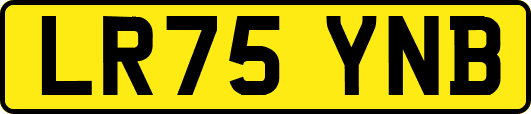 LR75YNB