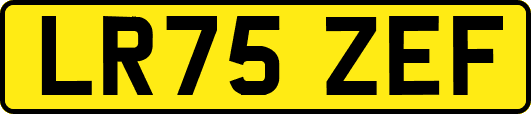 LR75ZEF