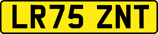 LR75ZNT