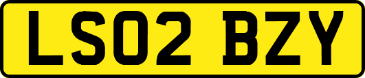 LS02BZY