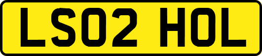 LS02HOL