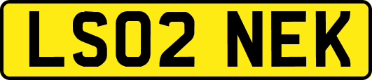 LS02NEK