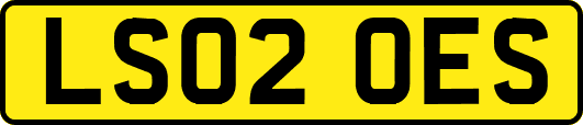 LS02OES