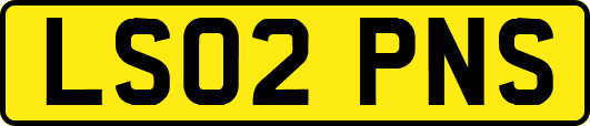 LS02PNS