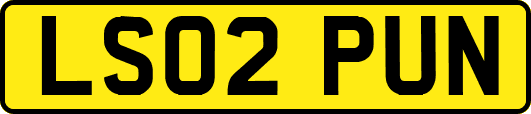 LS02PUN