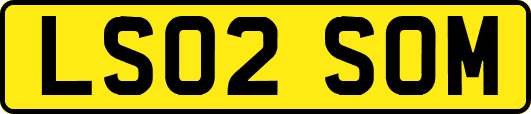 LS02SOM
