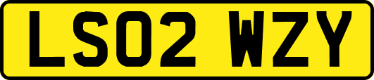 LS02WZY