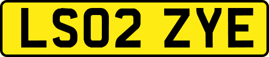 LS02ZYE