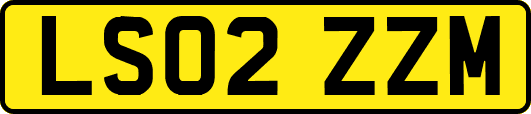 LS02ZZM