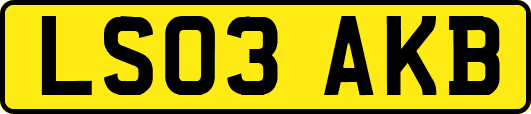 LS03AKB