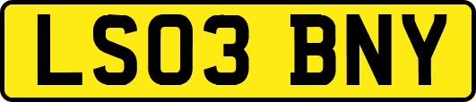 LS03BNY