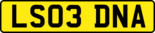 LS03DNA