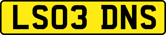 LS03DNS