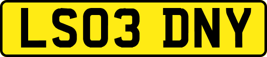 LS03DNY