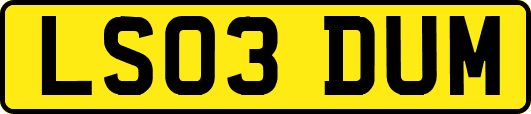 LS03DUM