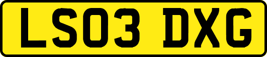 LS03DXG