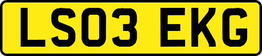 LS03EKG