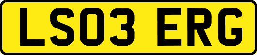 LS03ERG