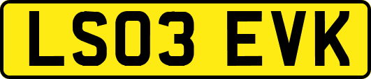 LS03EVK