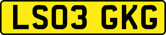 LS03GKG