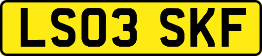 LS03SKF