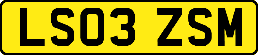 LS03ZSM