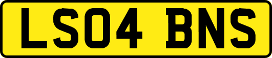 LS04BNS