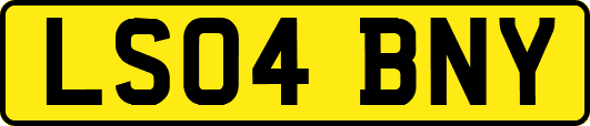 LS04BNY